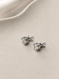 Brinco Moissanite 6mm